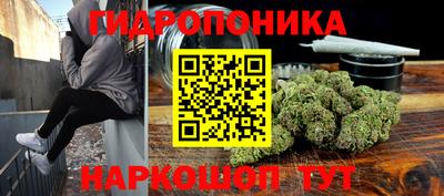 амф Краснознаменск