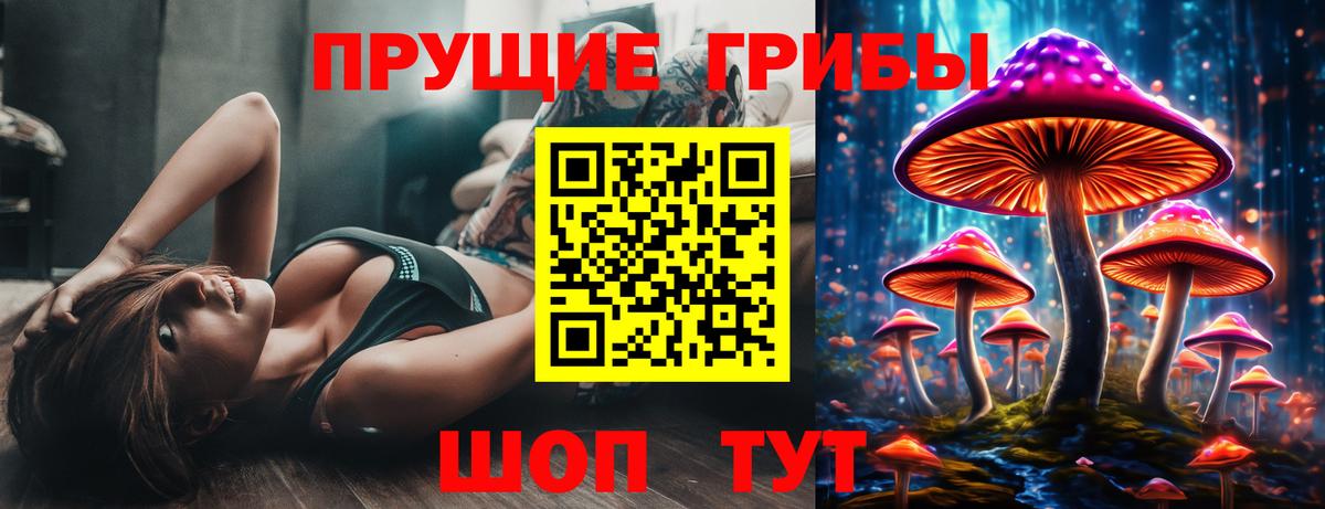 Галлюциногенные грибы Psilocybine cubensis Киселёвск